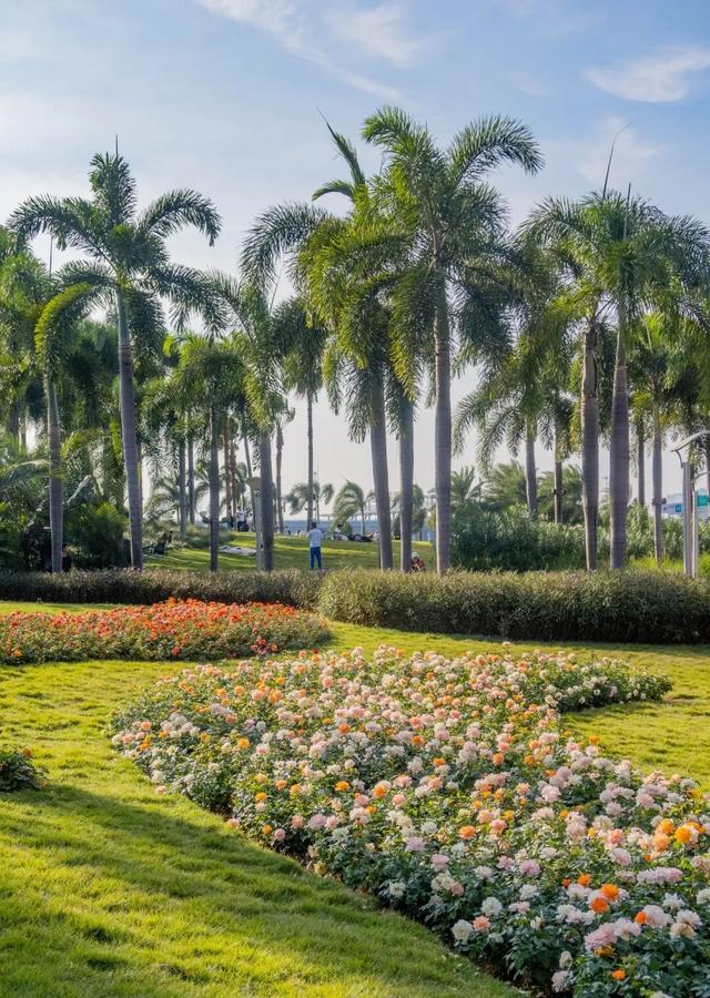 漫步前海：邂逅花海、踏浪听风，在摩天轮下收藏一城浪漫