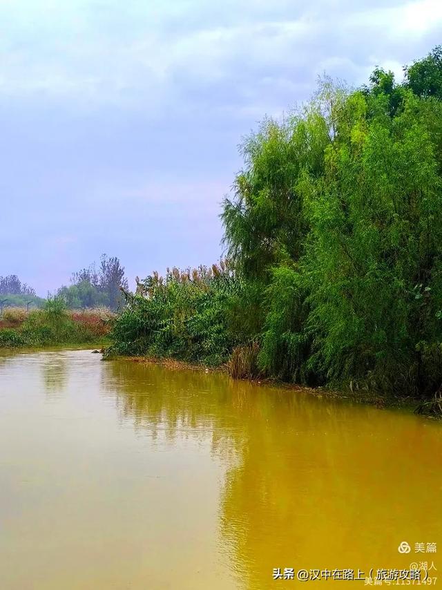秋雨中的汉中湿地