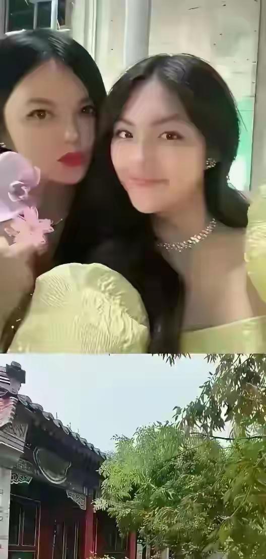 李湘在平台晒自家北京小院，大到让网友以为是景区，真的太有钱了