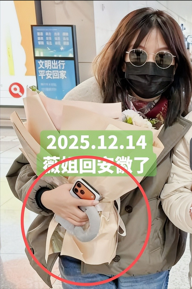 落毛凤凰不如鸡！49岁赵薇再曝近况，全身包裹严实 不敢露脸怕见人