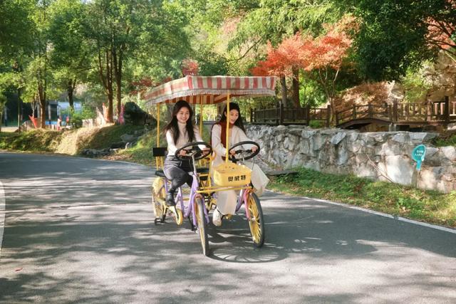 可惜你不听《枫》,不知道醴陵这片枫林到底有多美!