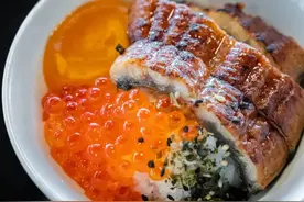 鳗鱼：水中软黄金，鲜香滋补的养生佳品图片