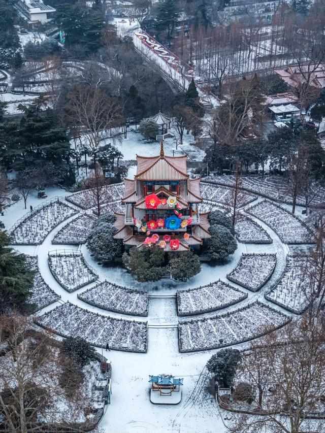 实拍!洛阳新春灯会来了!超多惊喜