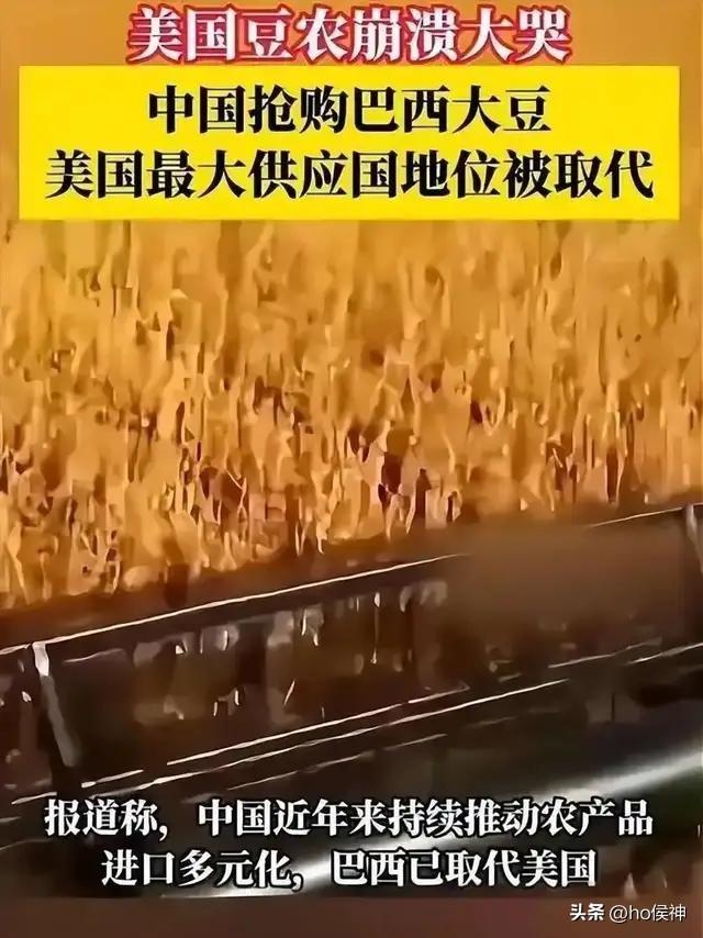 高市早苗出手够狠！中国停购美大豆，日本急着接盘，试图一箭双雕