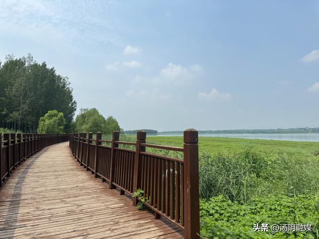 以绿意为帖，赴一场生态之约吧！