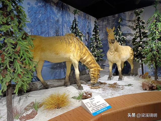 长白山北坡游（下）——吉林游（3）