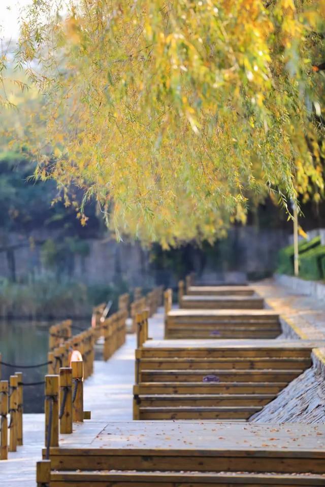 什么？日照这里有一群“小精灵”？！