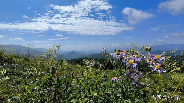 两次本溪南岭徒步记｜高山草甸，湖池松林，我被南岭种草