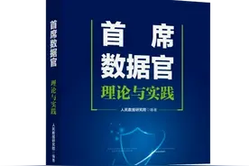 首席数据官是个什么“官”？图片
