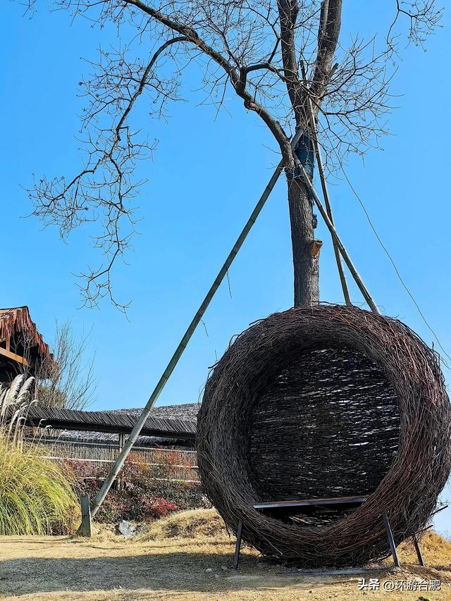 分享一个合肥周边小山村的初冬逃离计划
