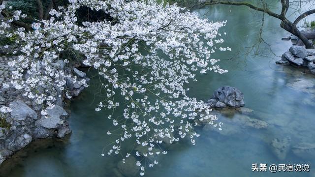 《太平年》用大历史带我们逛八城美景，绝啦！
