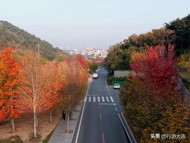秋色有多惊喜？来白云雁水走一走~