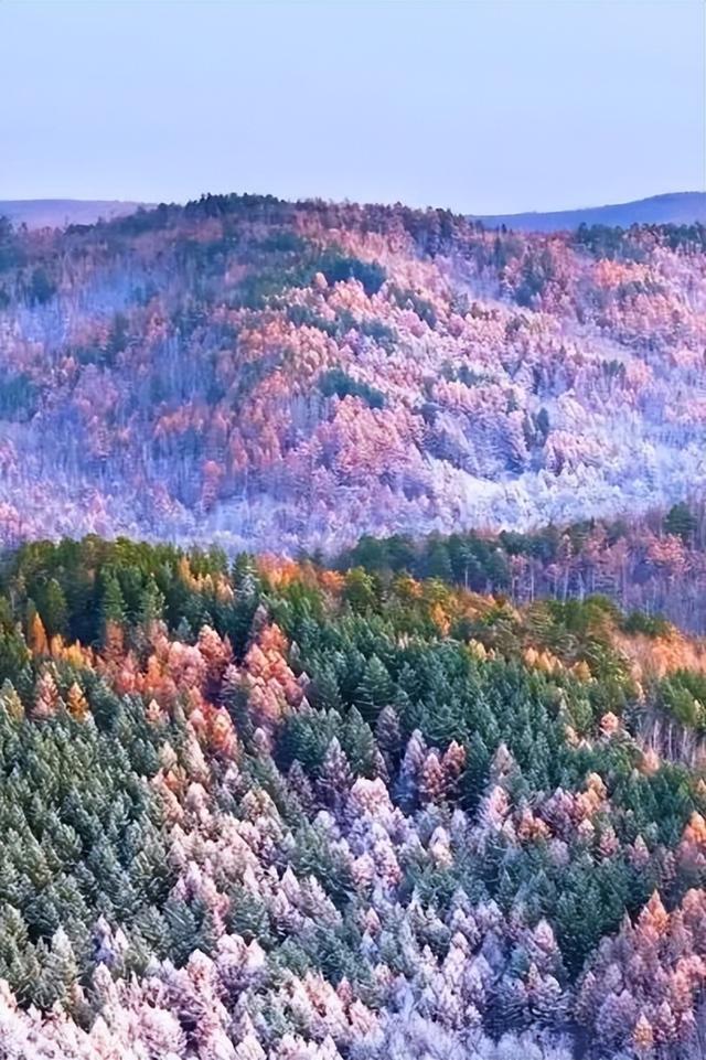 呼伦贝尔醉美初冬