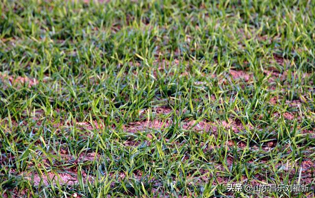 这一次外出闲游感慨颇多