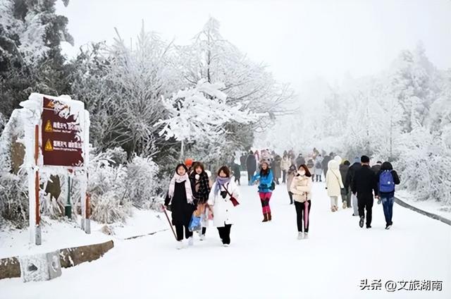 不用怀疑坐标！湖南隐藏的“冰雪仙境”正在上线，速来打卡