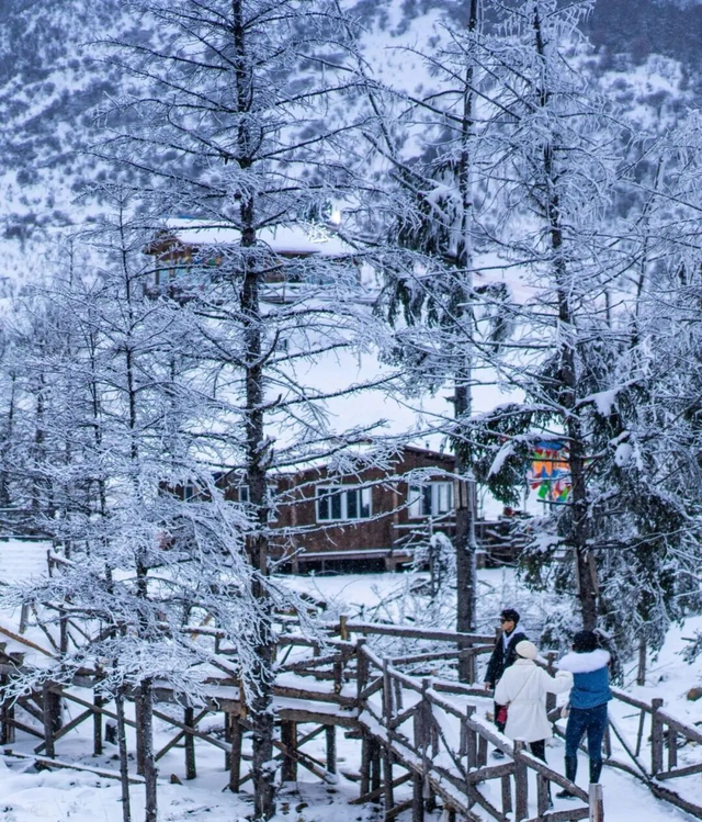 川西冬日快乐一键解锁，我们“鹧”里见~