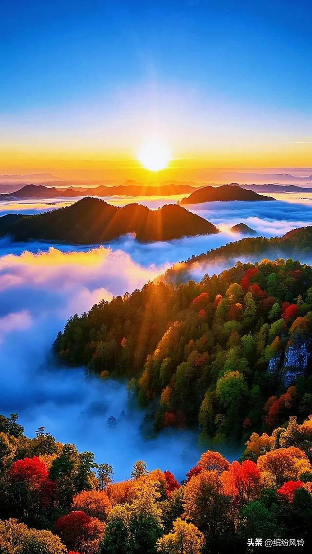 晨雾漫过秋山肩，层林燃作赤金焰