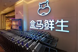 盒马正变得不像盒马：供应商吐槽砍价太狠、分拣员降薪35%……图片