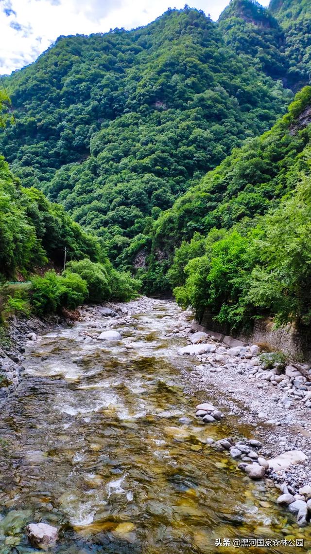 黑河的美，一直都在 | 云游黑河的秋日画卷