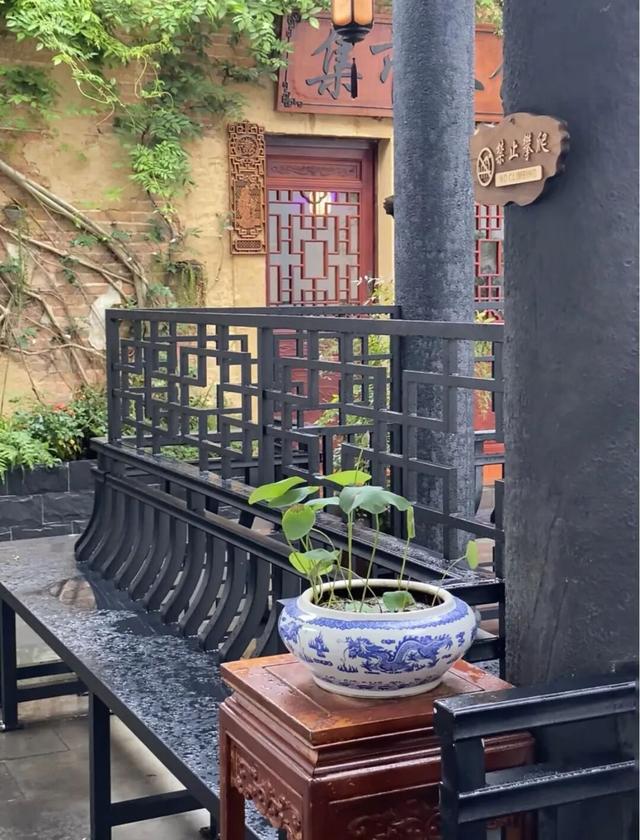 湛江治愈系角落，治好了年轻人的精神内耗！