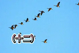 华为手机功能与使用技巧的基本设置（十二）图片