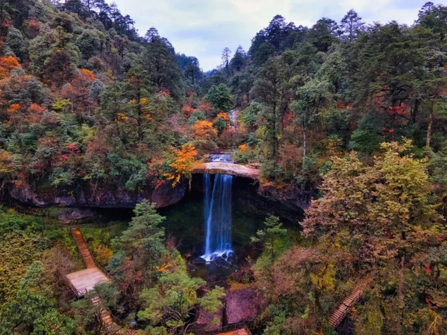 最佳观赏期！雅安的红叶彩林“封神”啦！