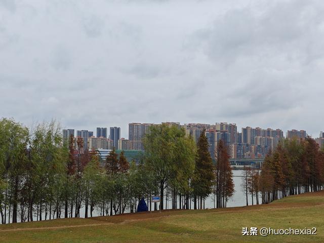 佛山真好逛——火红的小布村
