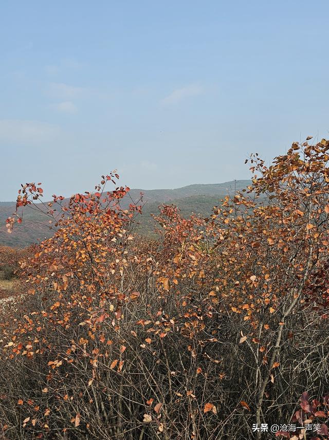 踏遍青山，风景独好，看万山红遍，层林尽染，请尽情欣赏吧