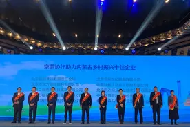 京东荣膺 “京蒙协作助力内蒙古乡村振兴十佳企业” 开通物流新干线 苏尼特羊成标杆图片