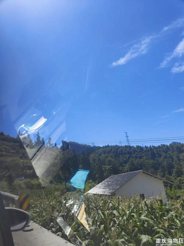 气温20℃+！重庆小众避暑点，吹凉风，捉小鱼，一日游也能耍安逸