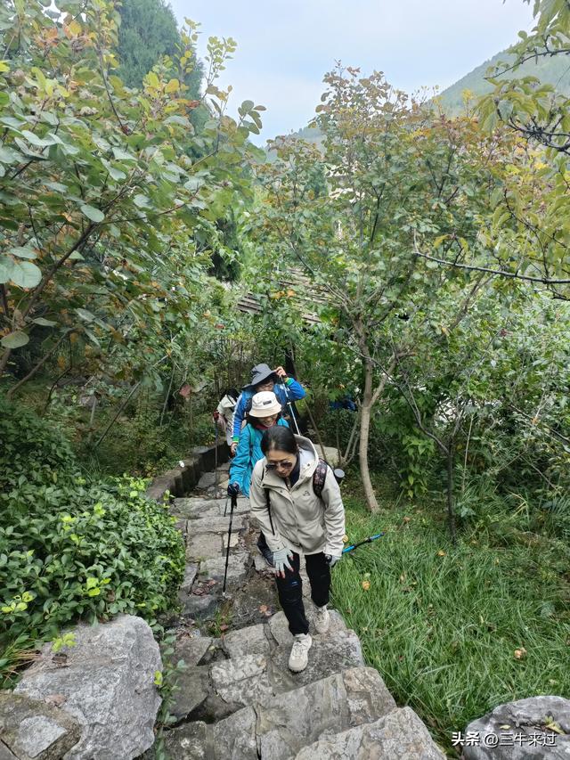 无为在歧路，济南红叶谷
