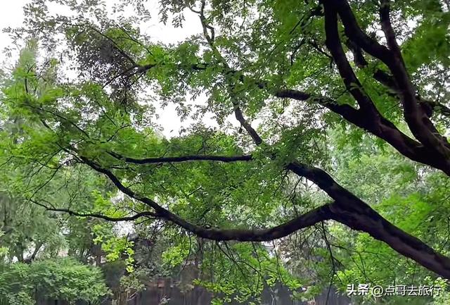 成都清凉避暑胜地，千年前就已闻名，风景如仙境，地铁公交直达！