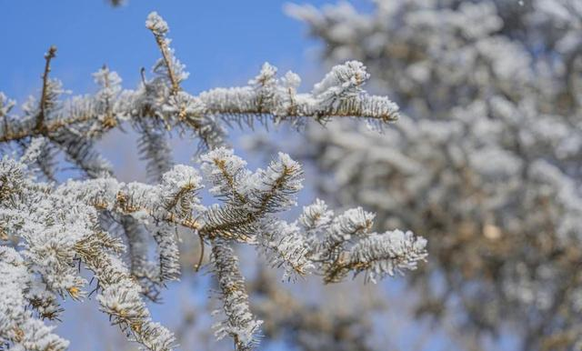 杭州人，去了宁波和温州，说句大实话：宁波人和温州人气质截然
