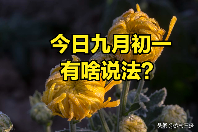 不是迷信！今日九月初一，最不能做的4件事，别忘了告诉家人！