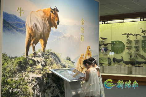 市博物馆暑期推出特色展览 丰富青少年文化生活