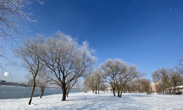 颜值不输北海道，中国也有自己的雾凇！今年冬天国内玩雪第一名！