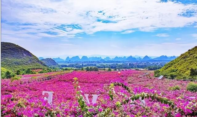 广西临桂区历史沿革及行政区划