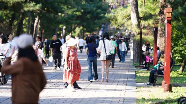 沈阳东陵公园“彩福季”圆满收官：以历史文化赋能旅游新体验，创假日经济高质量发展新范例