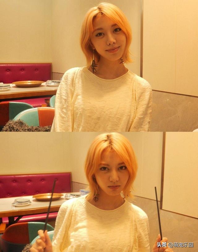 猫咪过生日不看蛋糕，软乎乎暖袋也不碰，小家伙到底在想啥