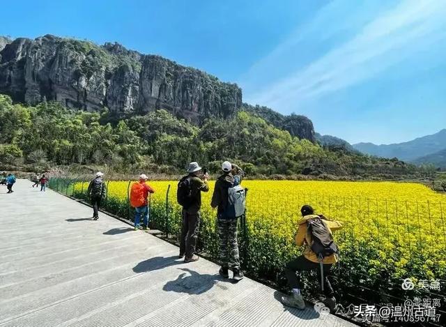 藏于浙江5A景区内有一处“十里铁甲龙”，洞穴众多形态奇特