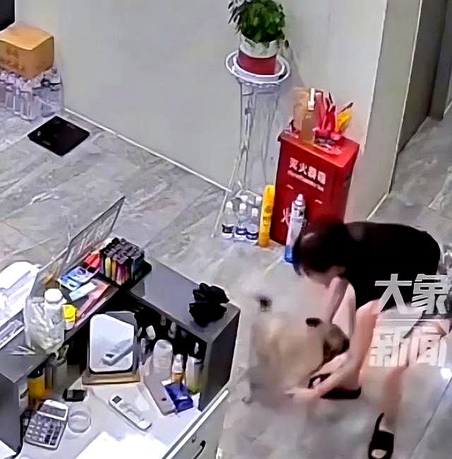 狗狗被送人后冒雨跑十几公里回家！狗主人：再也不会送人了！