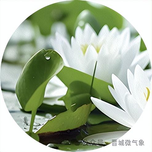 晋城明天有阵雨或雷阵雨！另旅游区天气