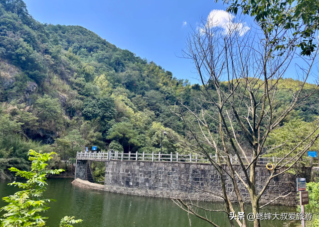 江浙沪私藏地太赞了，拥有古道和水杉林，一路绿色暴击，快来征服