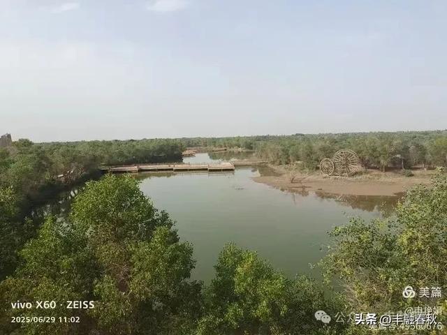探秘新疆巴楚红海景区：自然与人文的交响｜ 申艳娟