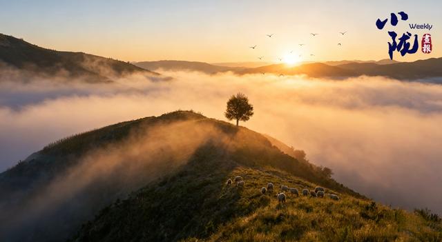 【小陇画报·440期】冬日华池黄土塬 色彩斑斓景如画