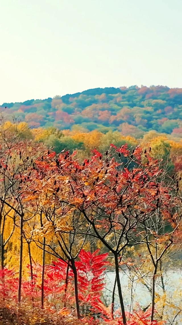 18公里步道免费开放!西五环边的这个公园迎来最佳观赏期——