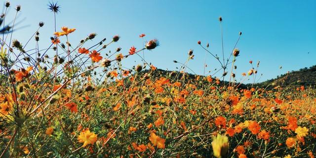 夫妻相处时，男人动不动就大喊大叫发脾气，你该如何做呢？