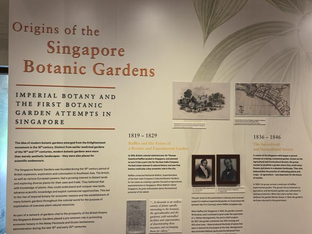 新加坡：“亲自然城市”，并非简单的“花园城市”