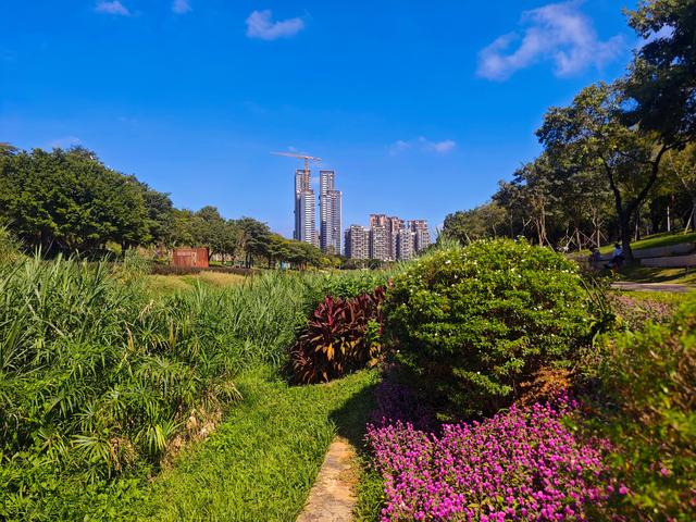 从学苑大道入大沙河绿过大学城后进深圳弯公园流花山景点【高清】