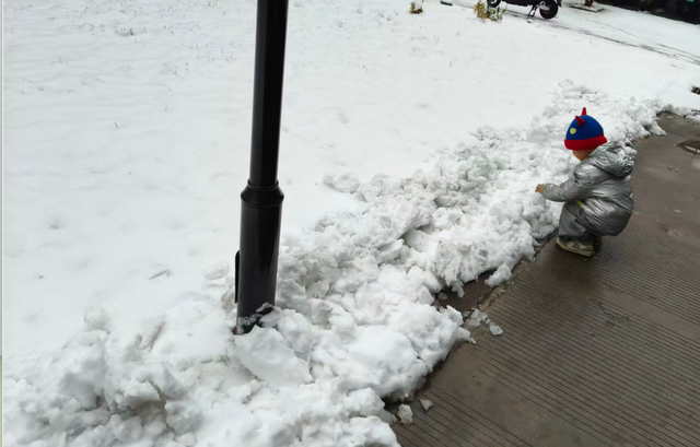 石家庄，三月大雪纷飞